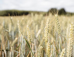 奋勇争斗,不畏困难——运动员的夺魁之路