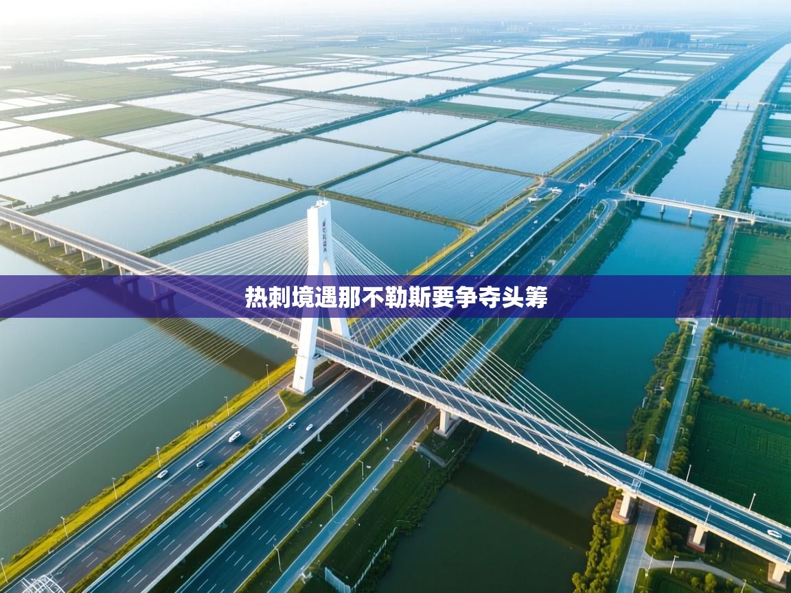 热刺境遇那不勒斯要争夺头筹  第2张