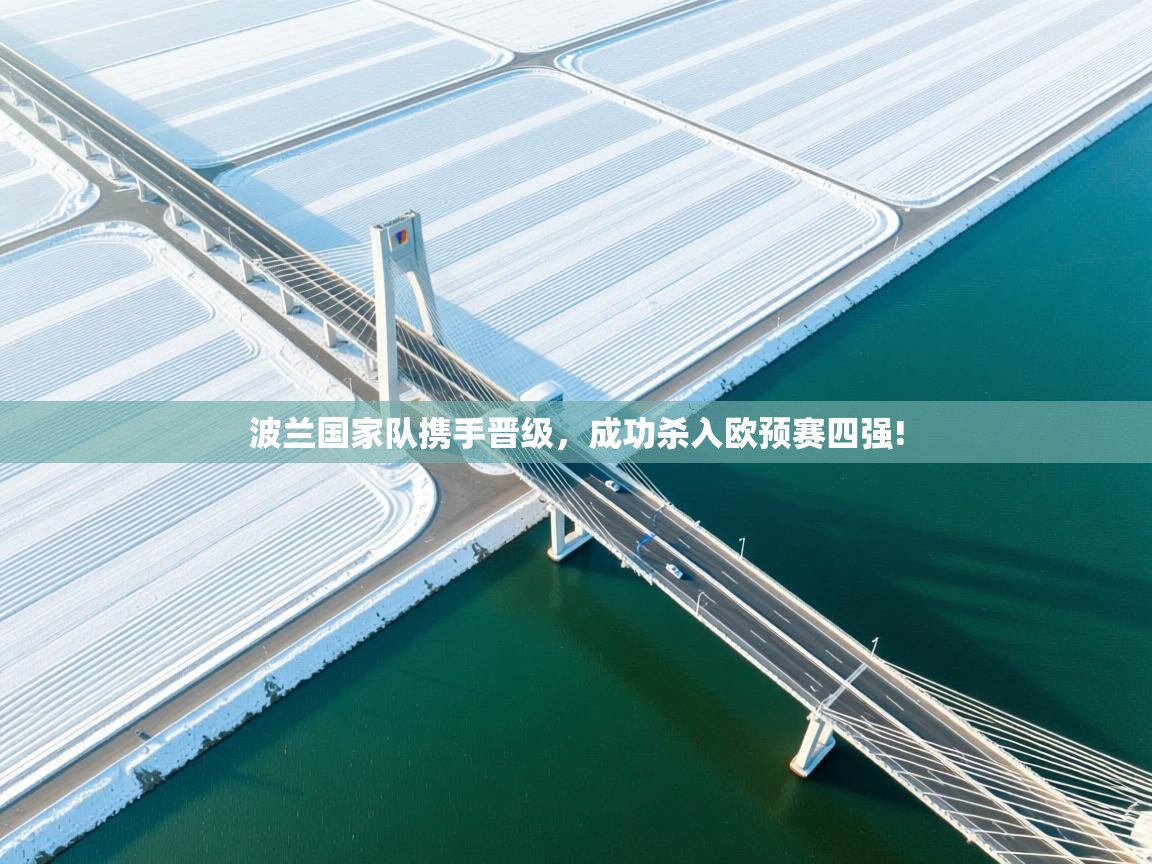 波兰国家队携手晋级，成功杀入欧预赛四强!