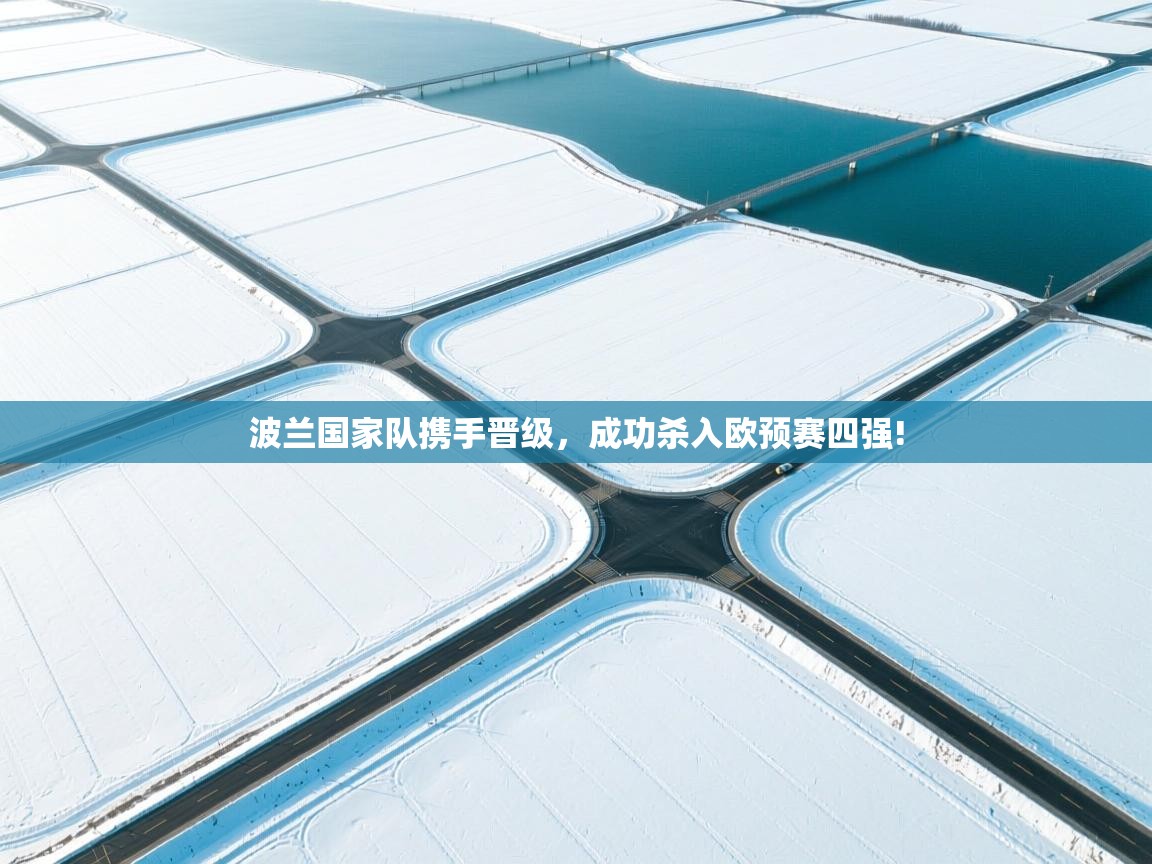 波兰国家队携手晋级，成功杀入欧预赛四强!  第2张