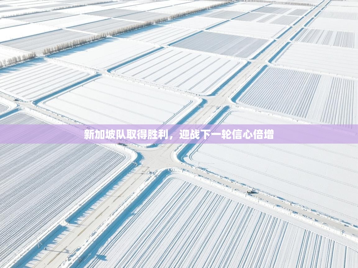 新加坡队取得胜利，迎战下一轮信心倍增