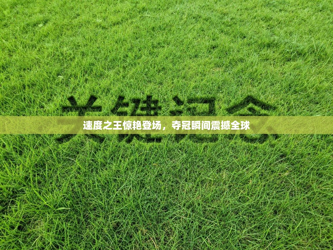 速度之王惊艳登场，夺冠瞬间震撼全球  第2张