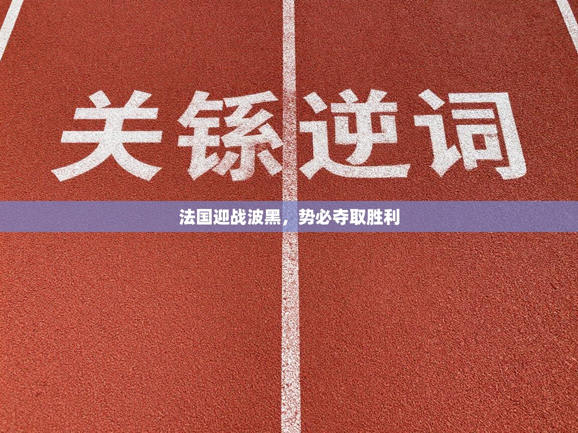 法国迎战波黑，势必夺取胜利  第2张