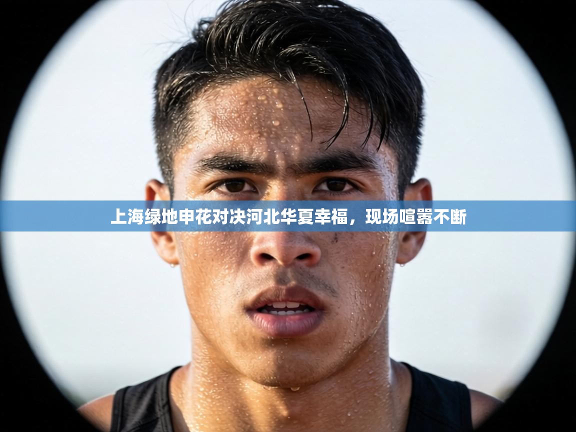 上海绿地申花对决河北华夏幸福，现场喧嚣不断  第2张