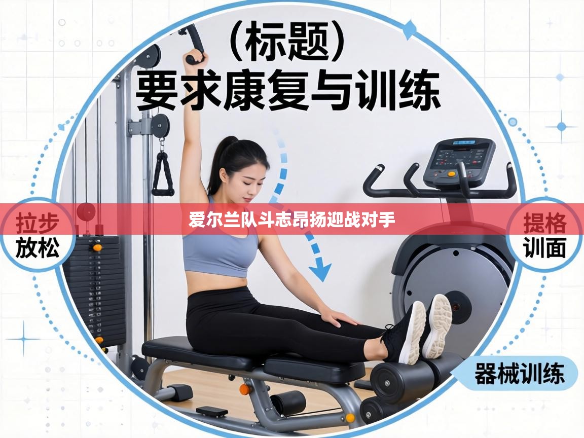 爱尔兰队斗志昂扬迎战对手  第1张